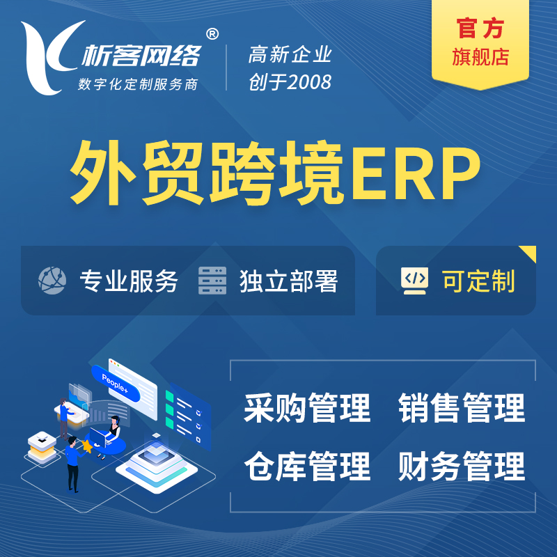 临高县外贸跨境ERP软件生产海外仓ERP管理系统