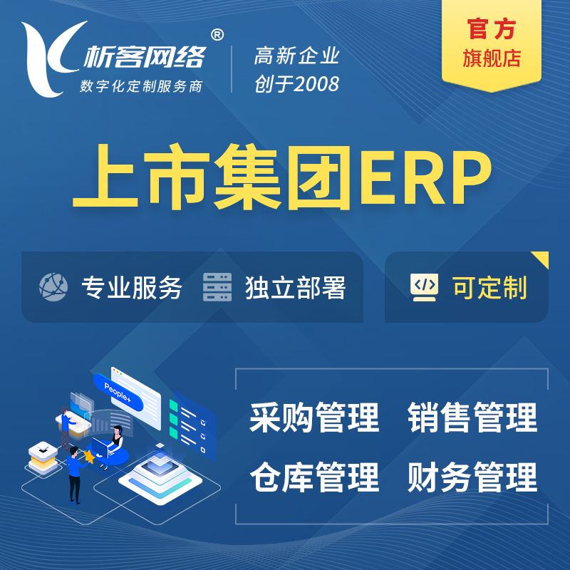 临高县上市集团ERP软件生产MES车间管理系统